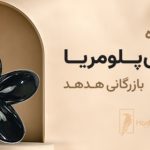 پخش کننده اصلی کلیپس پلومریا 4 سانتی