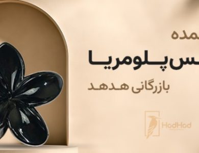 پخش کننده اصلی کلیپس پلومریا 4 سانتی