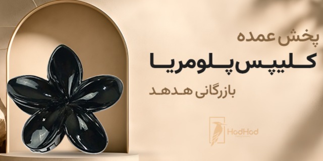 پخش کننده اصلی کلیپس پلومریا 4 سانتی